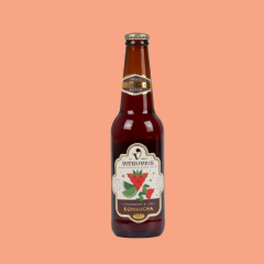 Vitruvius Strawberry&Lime Zest Kombucha 330 ml