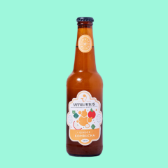 Vitruvius Zencefil Kombucha 330 ml