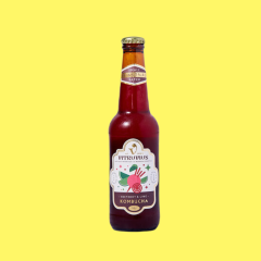 Vitruvius Beetroot&Lime Kombucha 330 ml